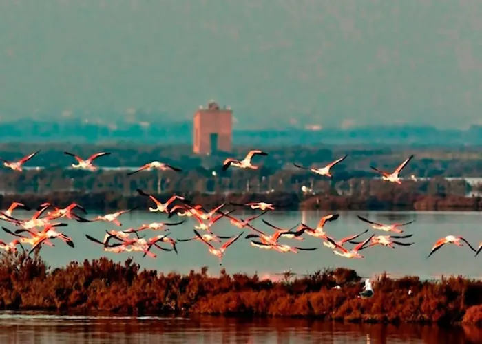 Apartman Delphina House *