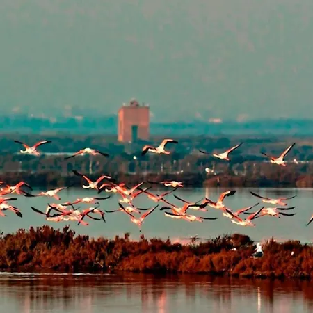 Appartement Delphina House *