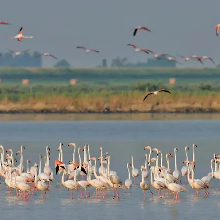 Appartement Delphina House