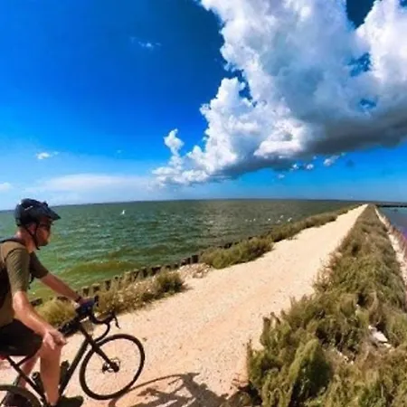 Delphina House Appartement Lido delle Nazioni