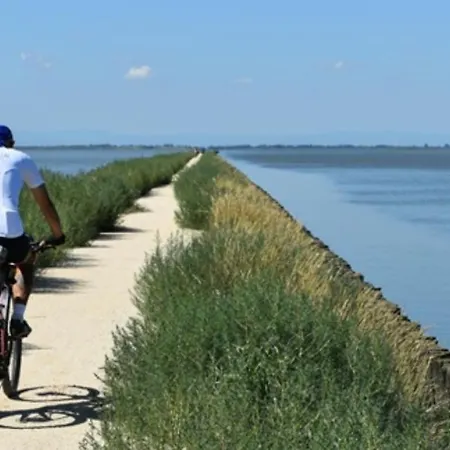 Delphina House Appartement