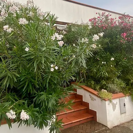 Appartement Delphina House Lido delle Nazioni