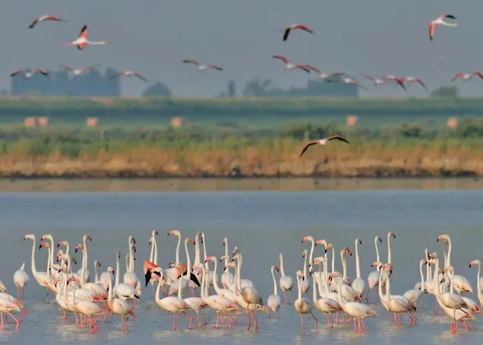 アパート Delphina House