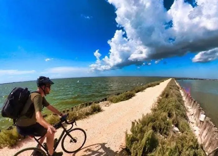 Delphina House Appartamento Lido delle Nazioni
