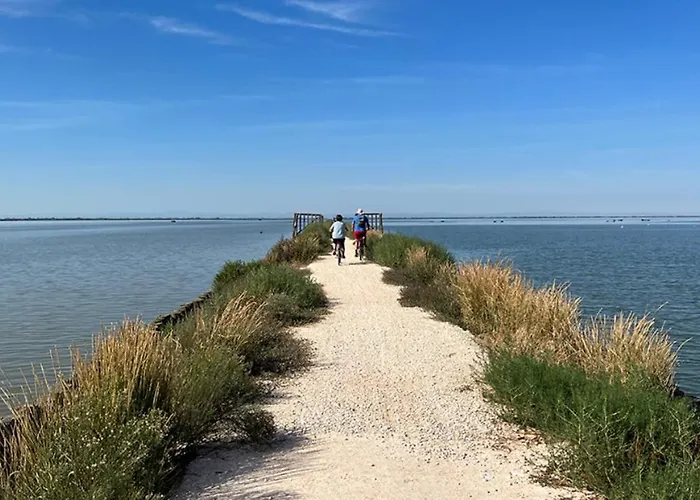 Appartamento Delphina House Lido delle Nazioni