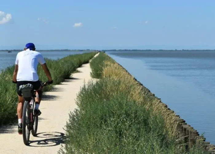 Delphina House アパート